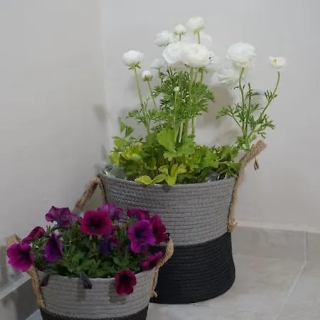 Giannata House * Dilináta