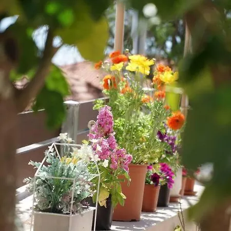 Ferienhaus Giannata House *