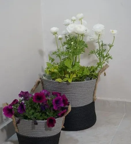 Giannata House * Dilináta