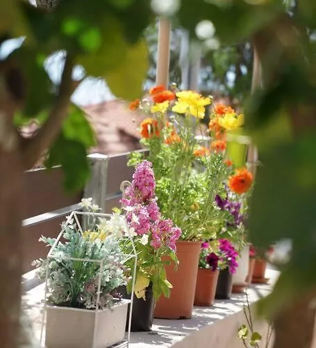 Case de vacanță Giannata House *